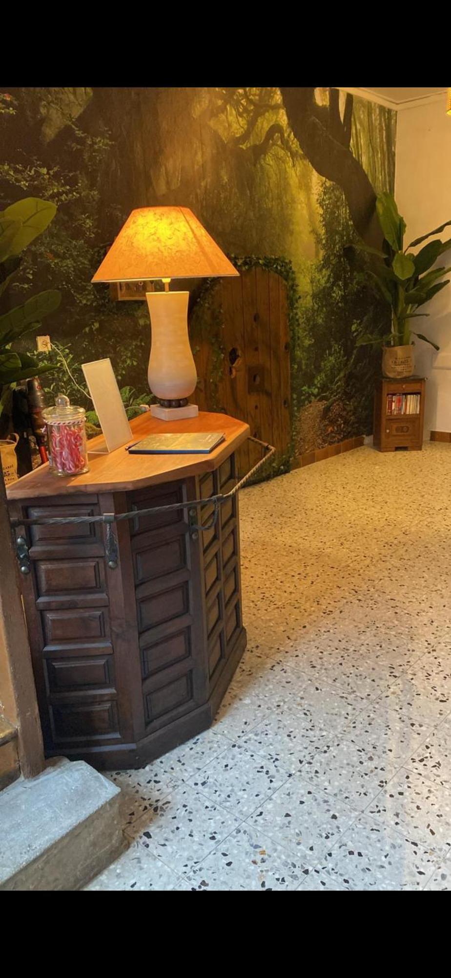 Les Petites Bulles De Massier Hotel Vienne  Eksteriør billede